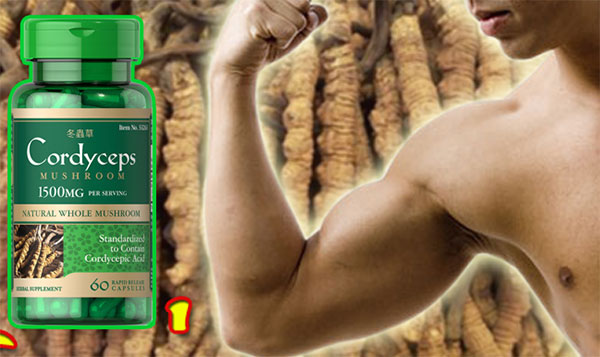 ĐTHT Puritan's Pride Cordyceps Mushroom 1500mg có ảnh hưởng rõ rệt trong tăng cường sức khỏe đàn ông